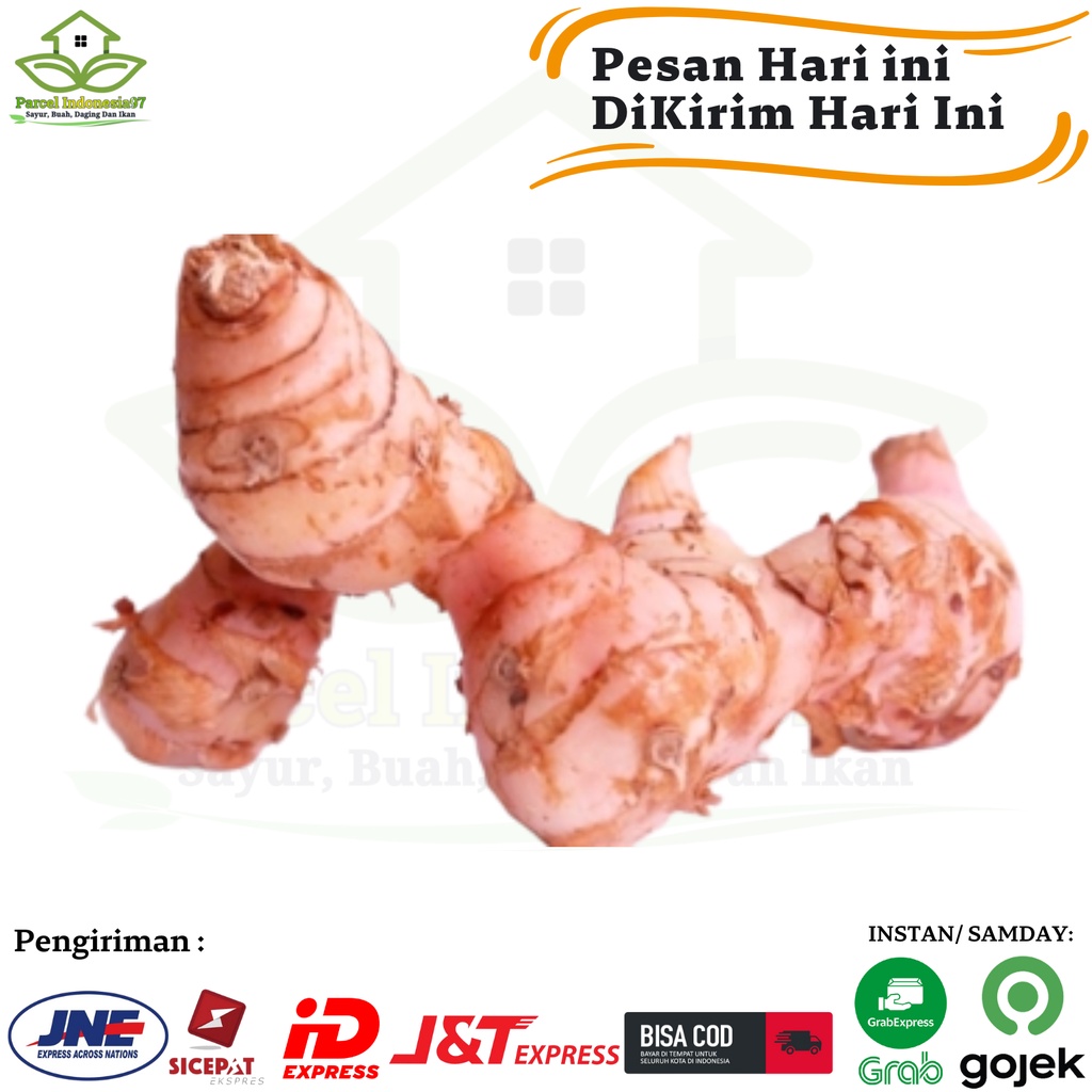 

lengkuas/ laja 250 gram