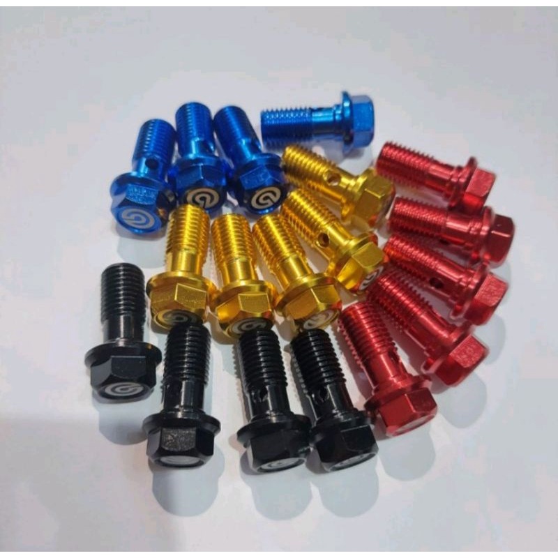 Baut banjo probolt nepel selang rem ke kaliper dan master rem