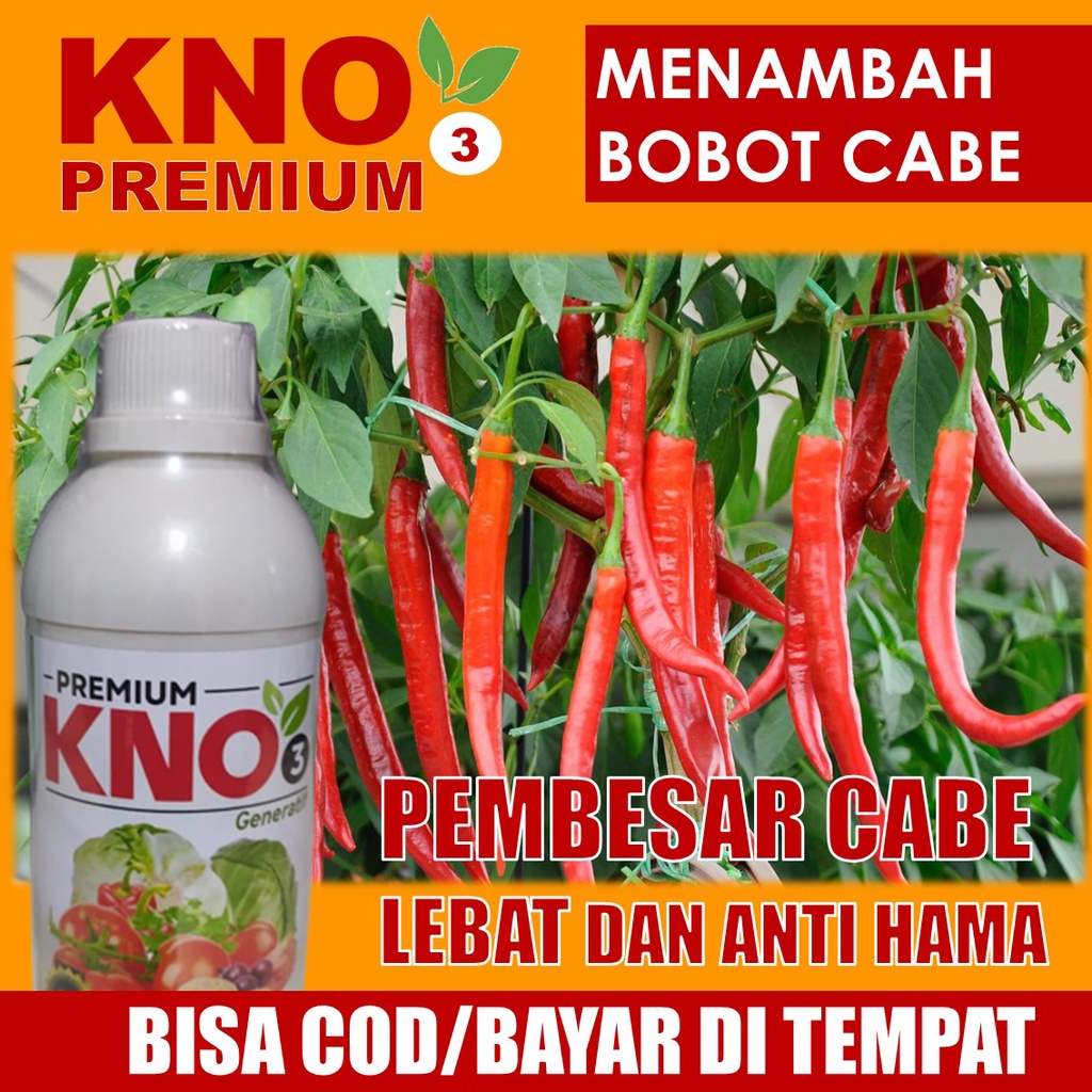 100% ORIGINAL Pupuk Cabe KNO3 Premium Terbaik Melebatkan Cabe Besar dan Berisi – Pupuk Cabe Alami da