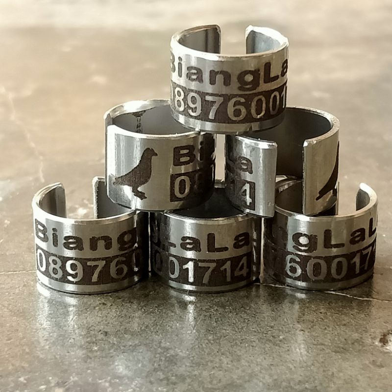 ring merpati dewasa/baja belah variasi std