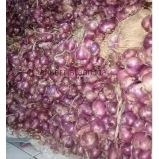 

PALING DIMINATI BAWANG MERAH 1 KG SUPER KERING KUALITAS OKE SAYUR FRESH / SHALLOT / ONION /SAYURAN SEGAR ♕ 874
