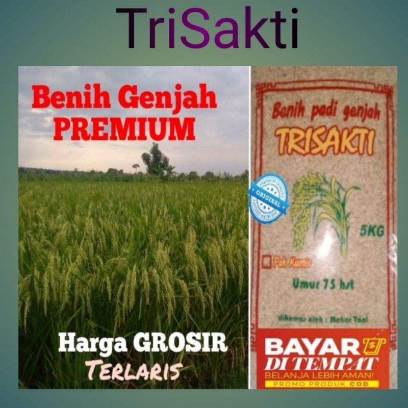 BENIH PADI TRISAKTI NEW 5Kg