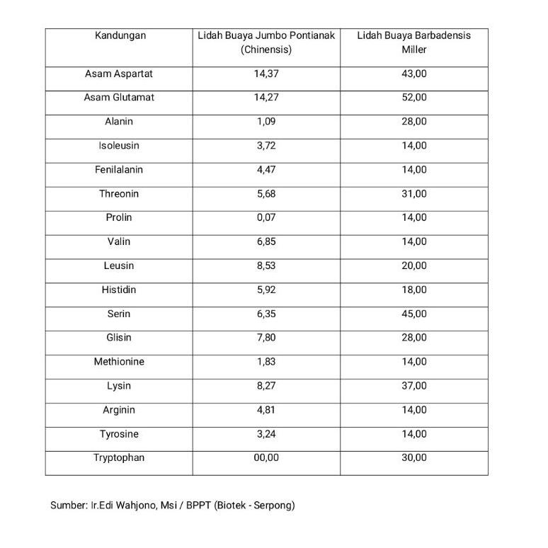 

↽ Aloe Vera Gel Sari Lidah Buaya Barbadensis "250m" Gel Lidah Buaya Murni Ekstrak Lidah Buaya ン