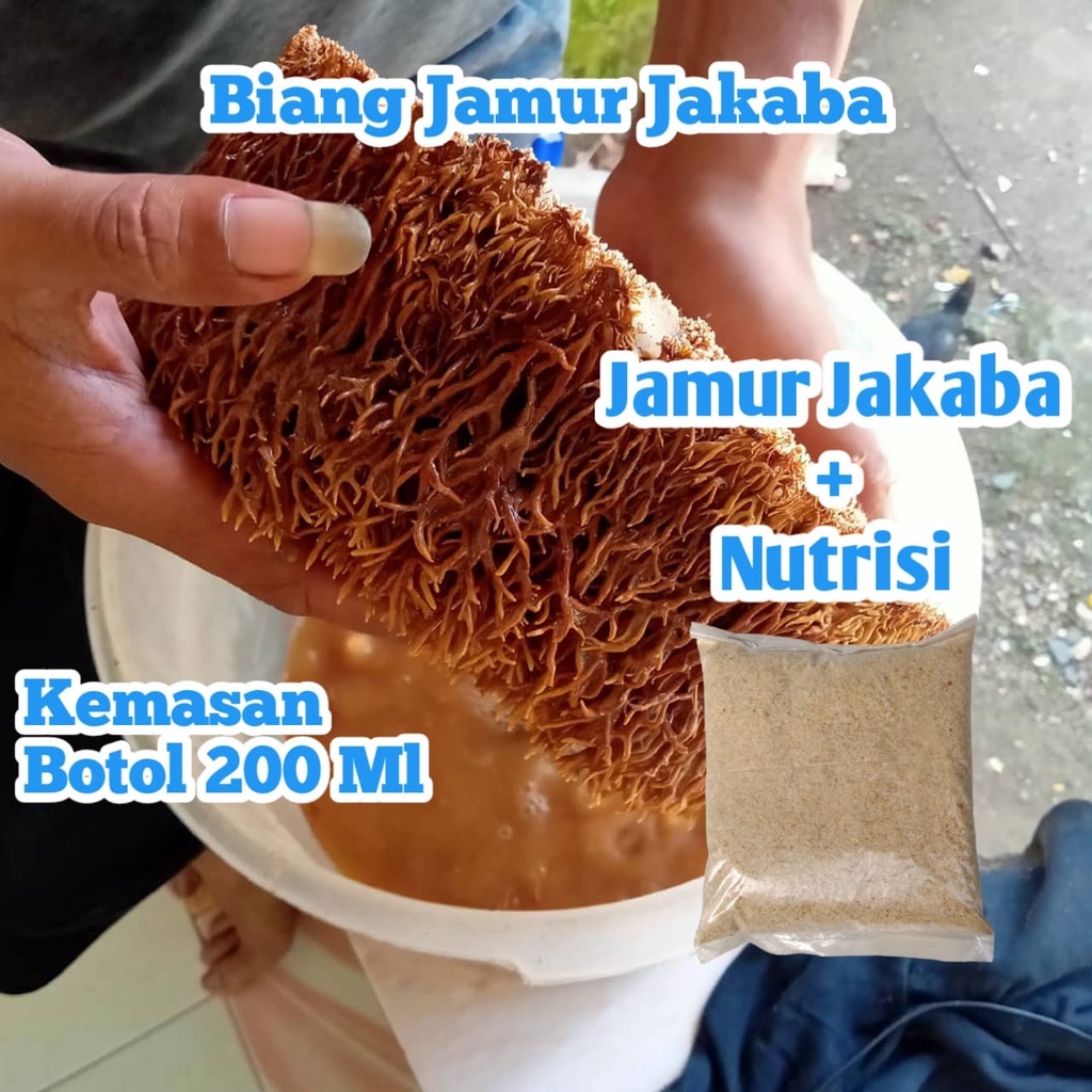 

Jamur Jakaba 3 Toples Biang Jamur Jakaba.