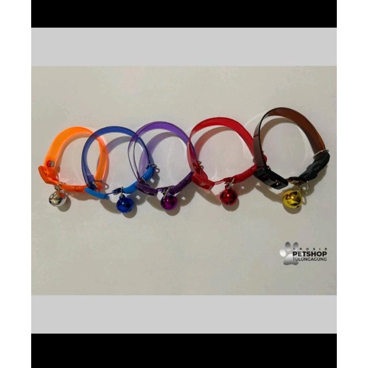 Paket Usaha Kalung Kucing 50pcs
