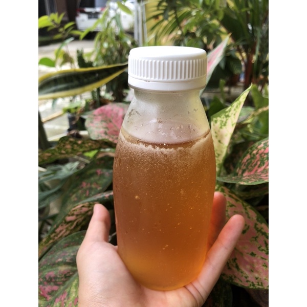 

madu asli murni 100% dijamin original dari prabumulih palembang