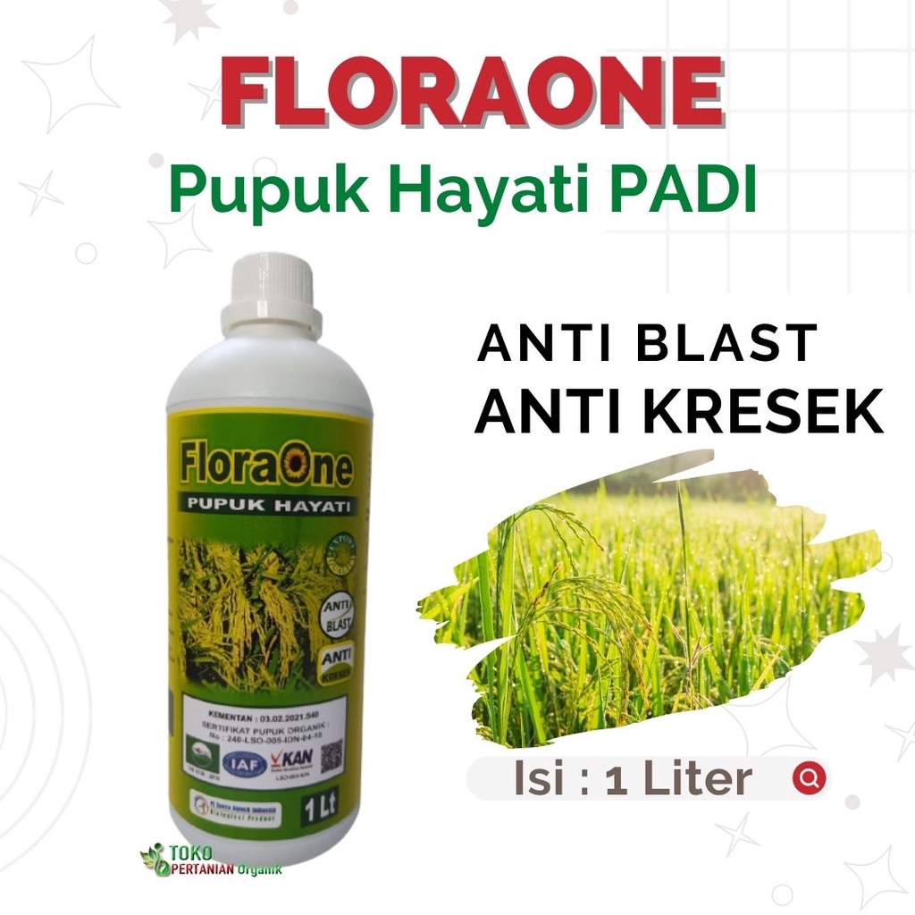 Pupuk Cair padi baru tanam anti penyakit tungro, Fungisida Hayati agar tanaman padi berbobot FLORAONE
