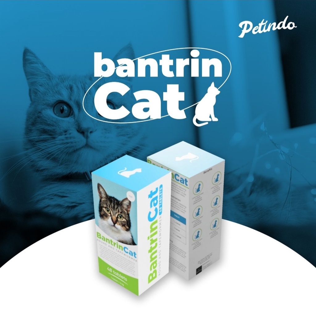 Bantrin cat obat cacing kucing tablet