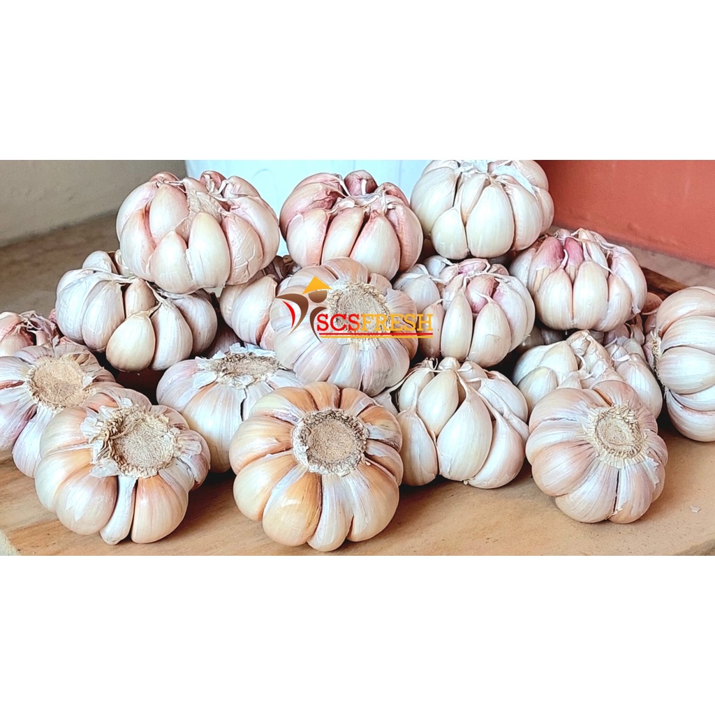 

Bawang Putih Bersih 1 Kg