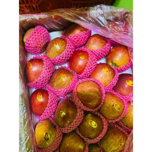 

Apel Fuji Fresh