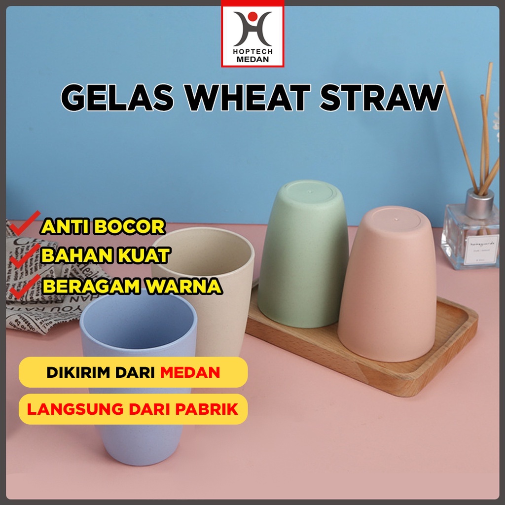 Gelas Wheat Straw Kopi Mug Cangkir | Gelas Gandum Kokoh | BPA Free