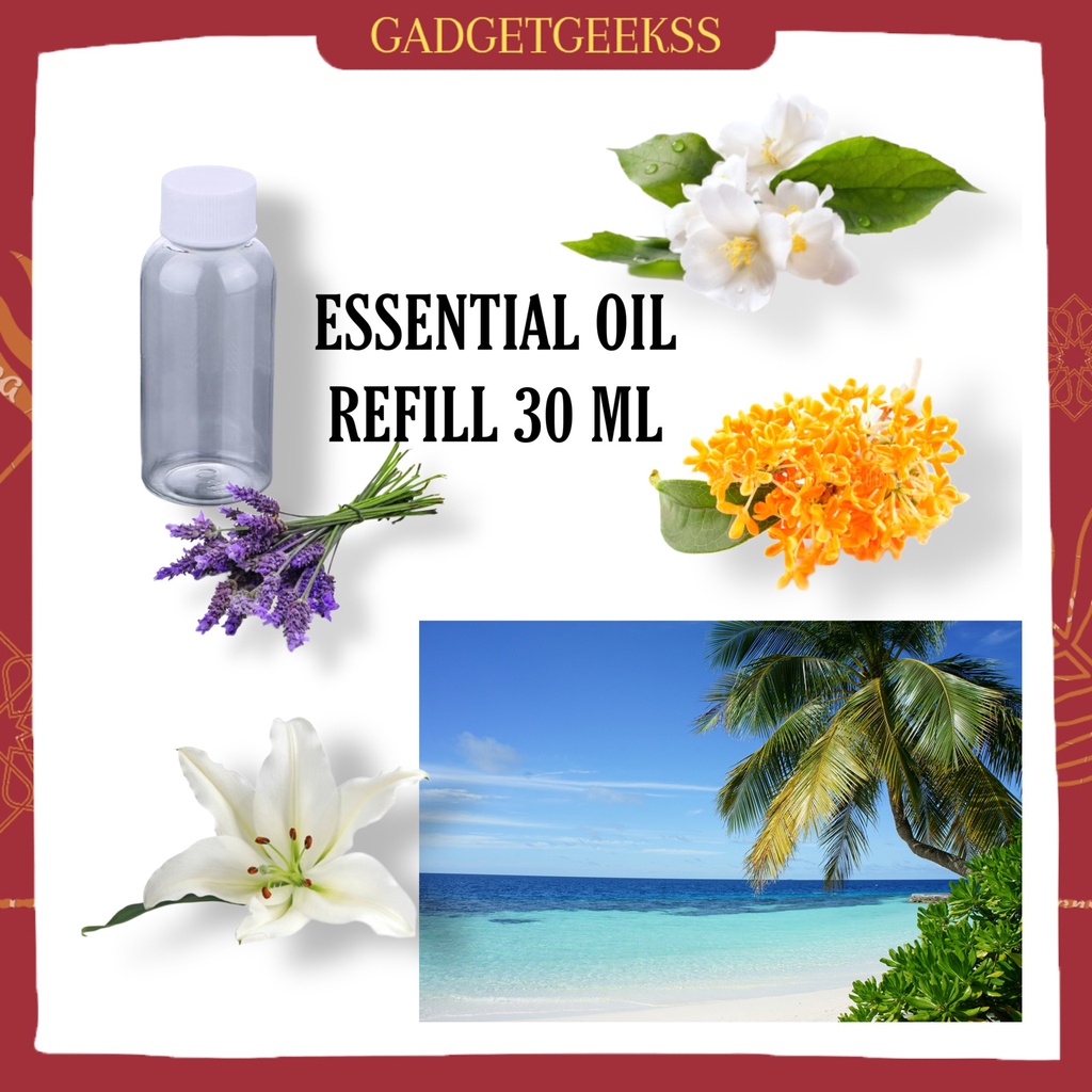 Isi Ulang Pengharum Ruangan Diffuser Aromaterapi Essential Oil Minyak Essential Refill Reed Diffuser