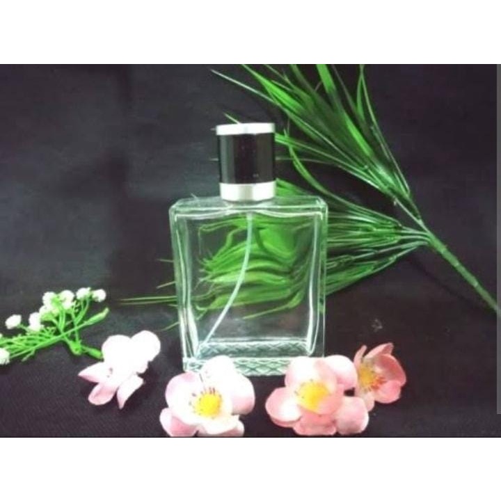 Jual Botol Kosong Parfum Refil 100ml Kotak Drat/ Putar Kosong | Shopee ...