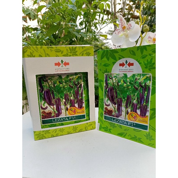 BIBIT TERONG LEZATA F1 TERONG UNGU PANJANG