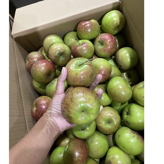

♠ apel rome beuty grade A satu kilo isi 7-8 biji an (apel malang)