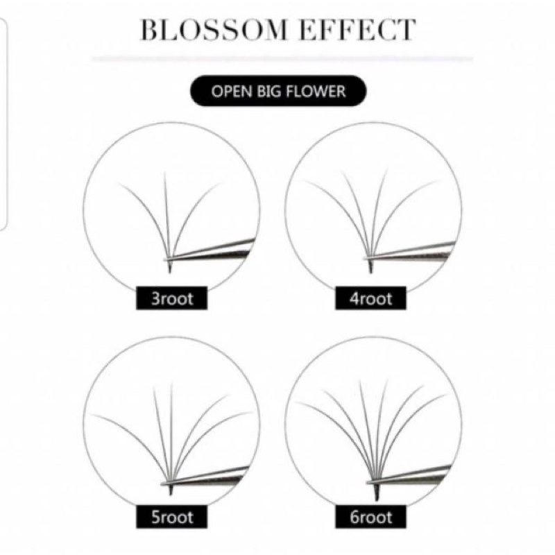 READY YELIX bloom blossom lash (easy fanning) volume russian Eyelash extensions rusiian tebal lembut russian nomer 1. russian super tebal praktis ringan di mata. hasil natural cetar j