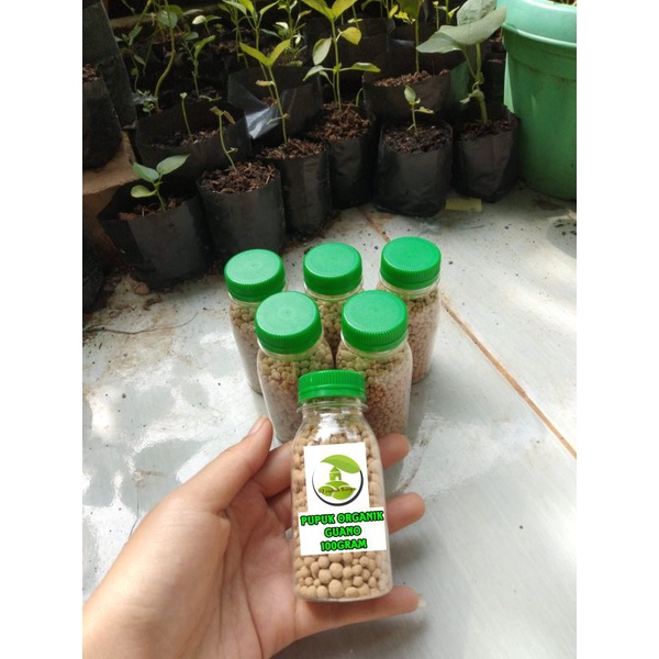 100GRAM - PUPUK ORGANIK NPK GUANO PUPUK KOTORAN KELELAWAR GRANULE