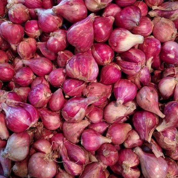 

SALE!!Bawang Merah Brebes Asli Ukuran Besar / Super 1kg kering|KD5