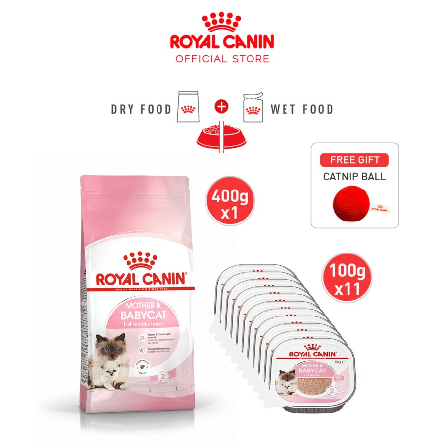 Royal Canin Mother &amp; Babycat (400g) Dry + Mousse Alutray (100gx11) Wet