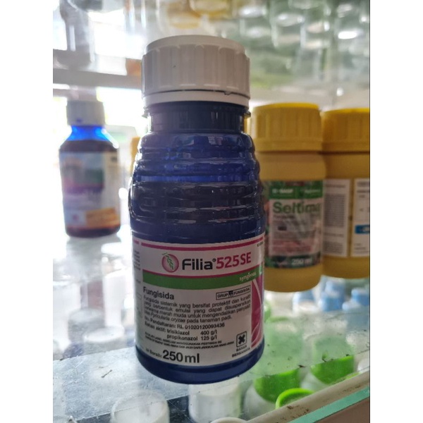 FILIA 250 ML