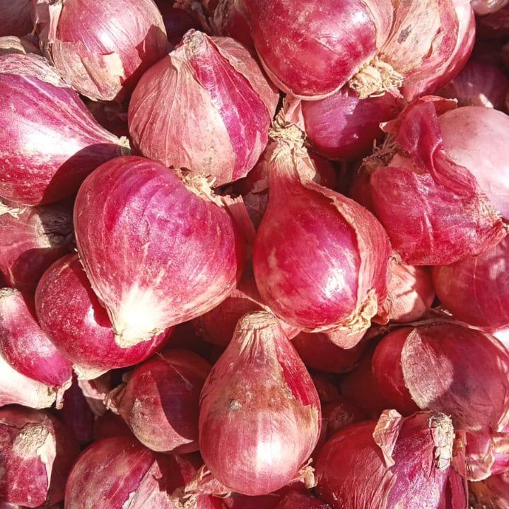 

Brambang merah Bawang Merah Kering Brambang Jowo Bawang Jawa 1 KG