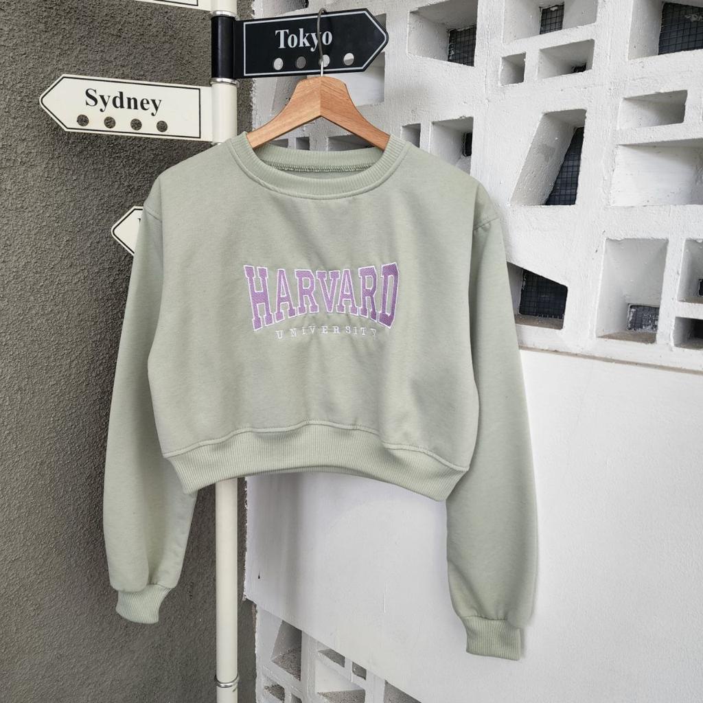 HARVARD BORDIER SWEATER CROOPE TEBAL WANITA