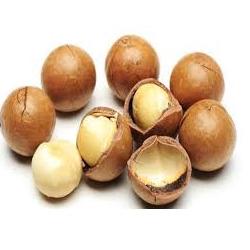 

Paling Laris Macadamia Kulit Roasted 500gram - Kacang yang Ngeselin FREE ALAT PEMBUKANYA