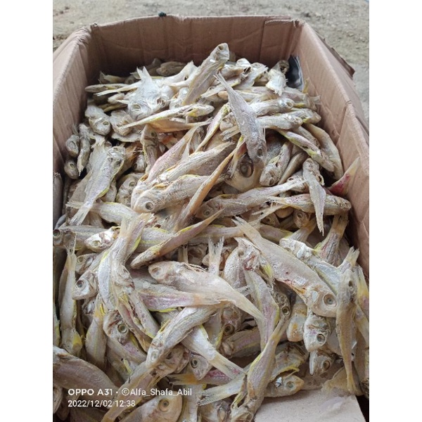 

Ikan asin kuniran 150 grm