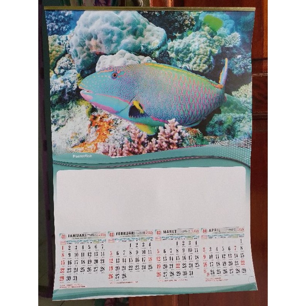 

kalender dinding 2023 motif ikan hias