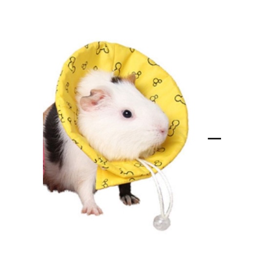 Collar Hewan Tersedia Untuk Kucing Anjing Hamster Sugar Glider Marmut Landak