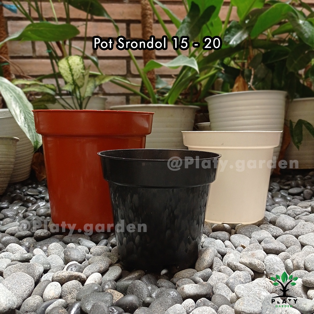 Pot Srondol 15 17 20 Hitam Coklat Putih | Pot Polos Ruplas Srondol