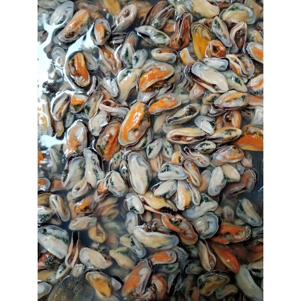 

Kerang Daging Kerang Hijau Fresh 100gr, Sameday Instan Delivery Jogja