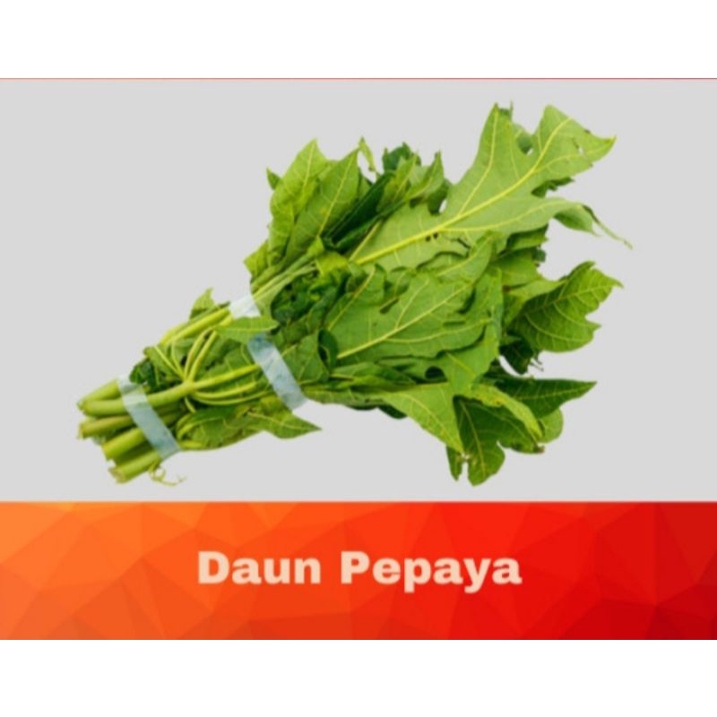 

Daun Pepaya 2 ikat