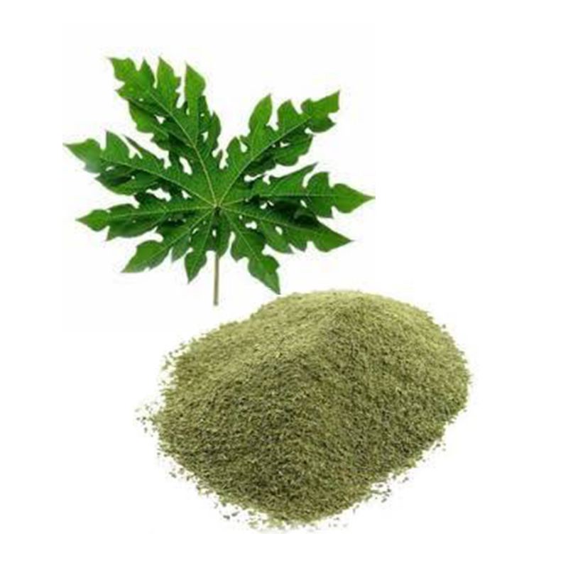 

Bubuk Serbuk Daun Pepaya isi 50 Gram Kates