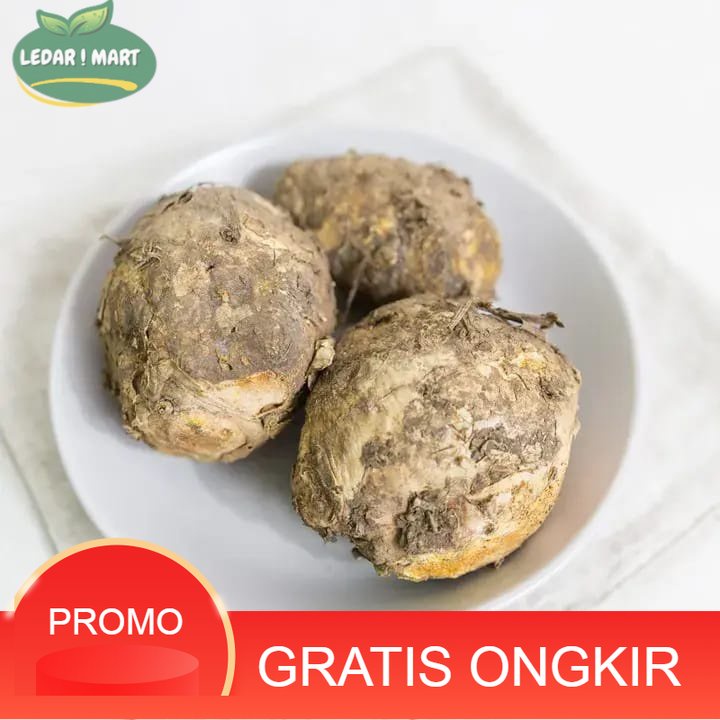 

Temulawak Segar organik