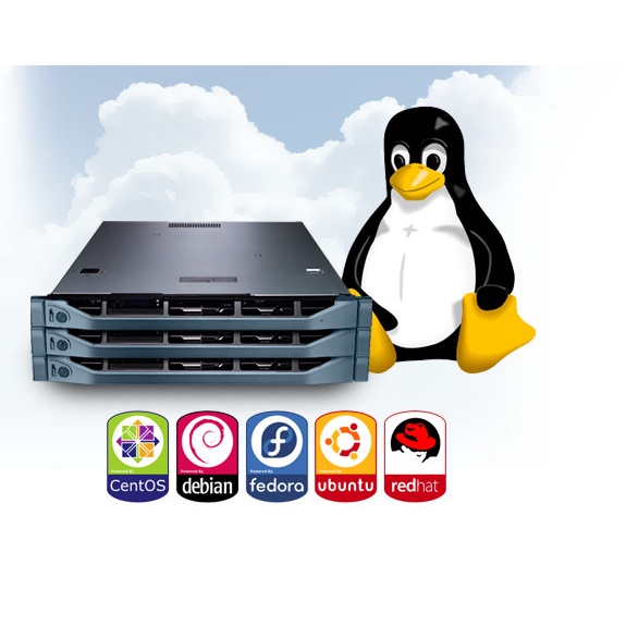 VPS LINUX 4GB