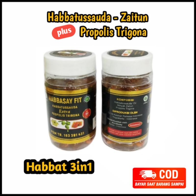 Habbasay Fit 60 Kapsul - Habbatussauda Plus Propolis Trigona  Habbats 3in1