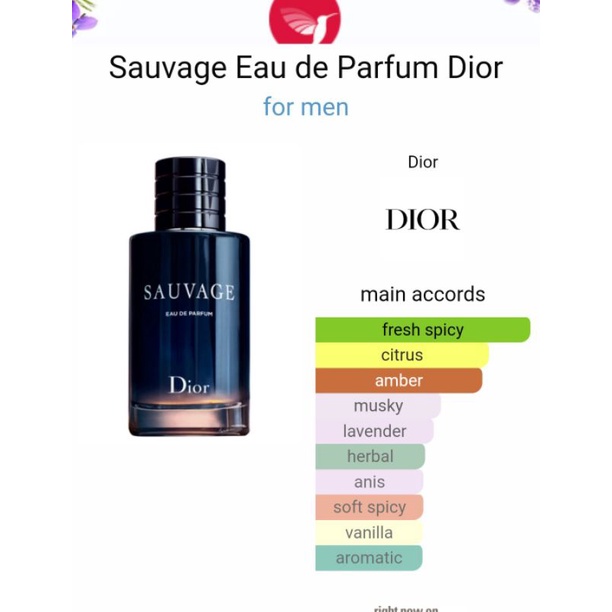 Sauvage Eau De Parfume Dior