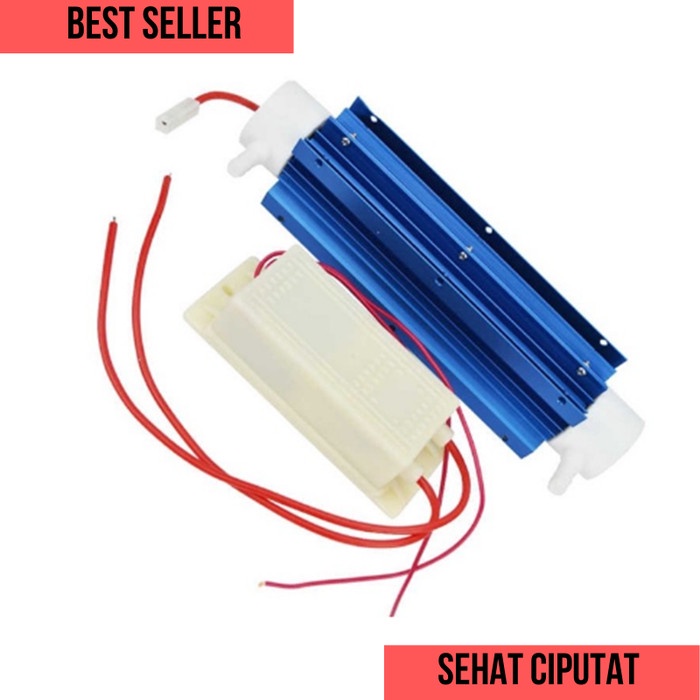 STOCK 220V 10G Ozone Generator Disinfection Water Purifier Quartz Tube