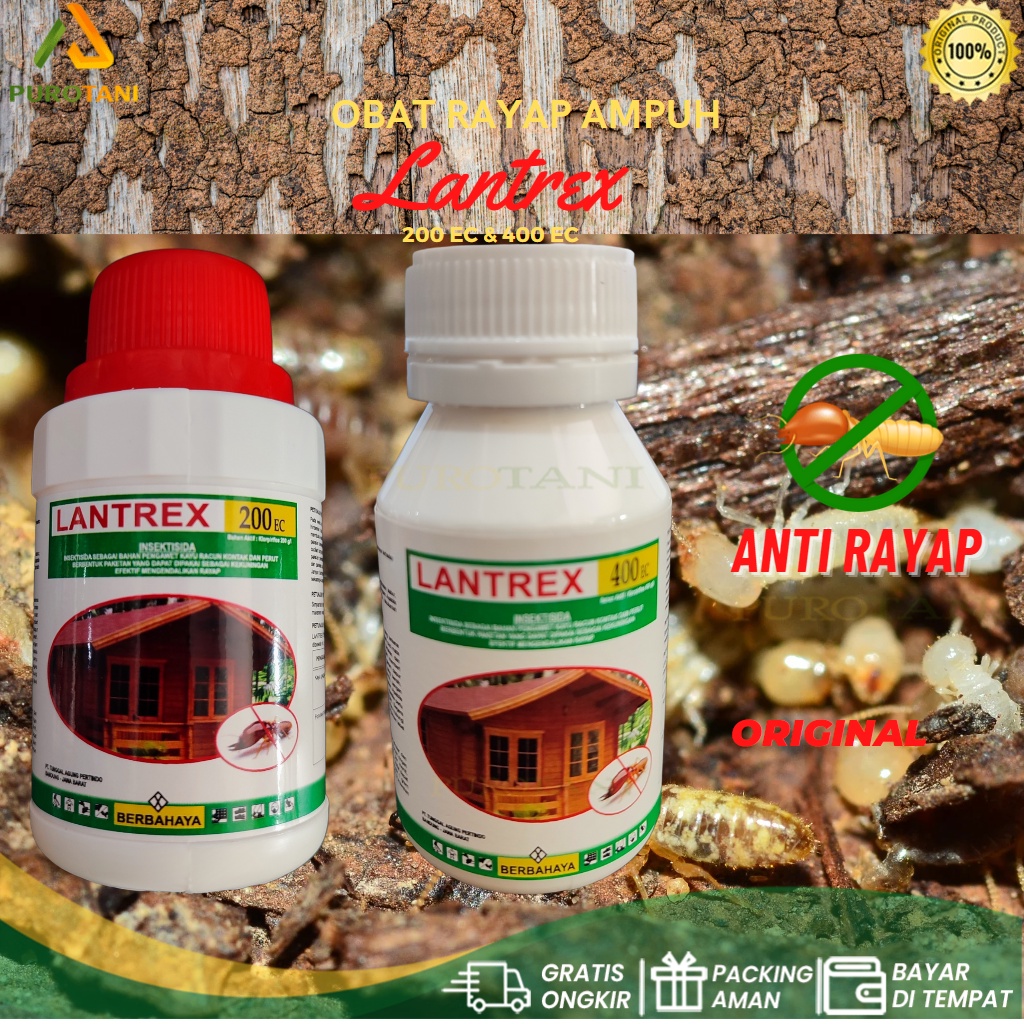 Termisida Obat Rayap Lantrex 100ml racun basmi anti rayap