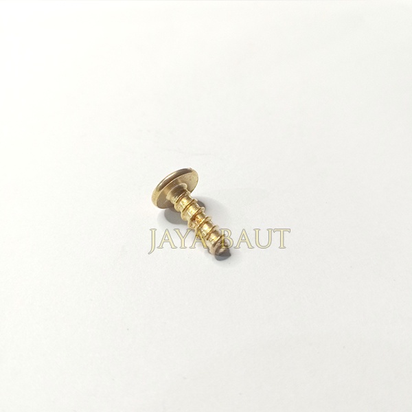 Baut / Sekrup Body Yamaha 5x16 Warna Gold
