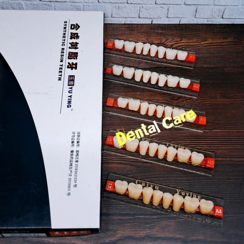 Gigi Palsu CAIYU Ecer Geraham Bawah/Gigi Tiruan Geraham Bawah