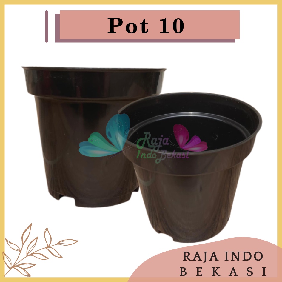 Pot Bunga 10 Cm Warna Warni Putih Hijau Kuning Pink Ungu Pot Bunga Hias Ukuran Mirip Pot Tawon 10 Cm