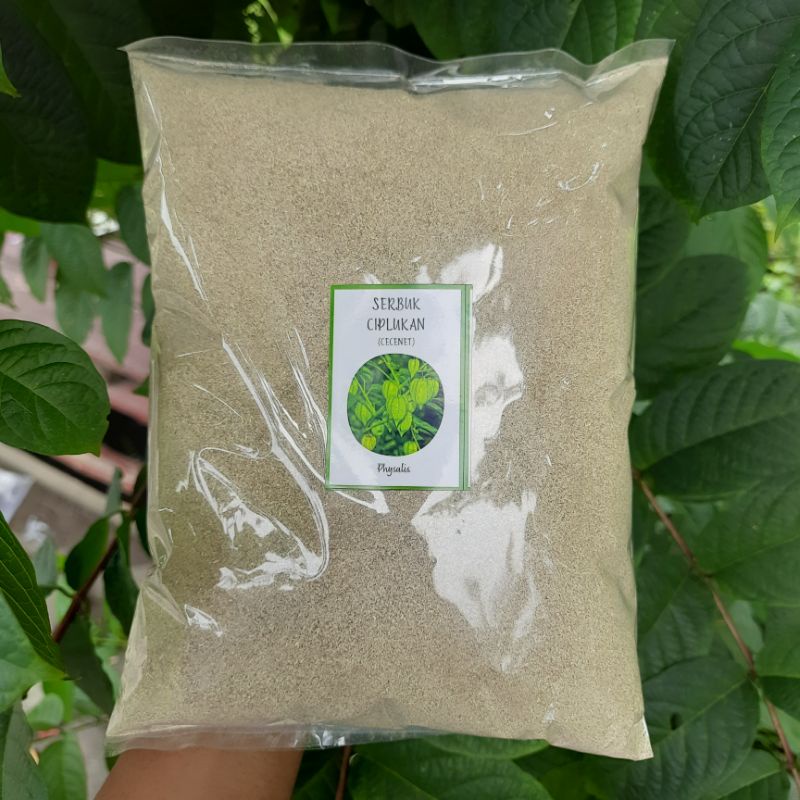 

Bubuk Serbuk Ciplukan Cecenet isi 500 gram Cecendet