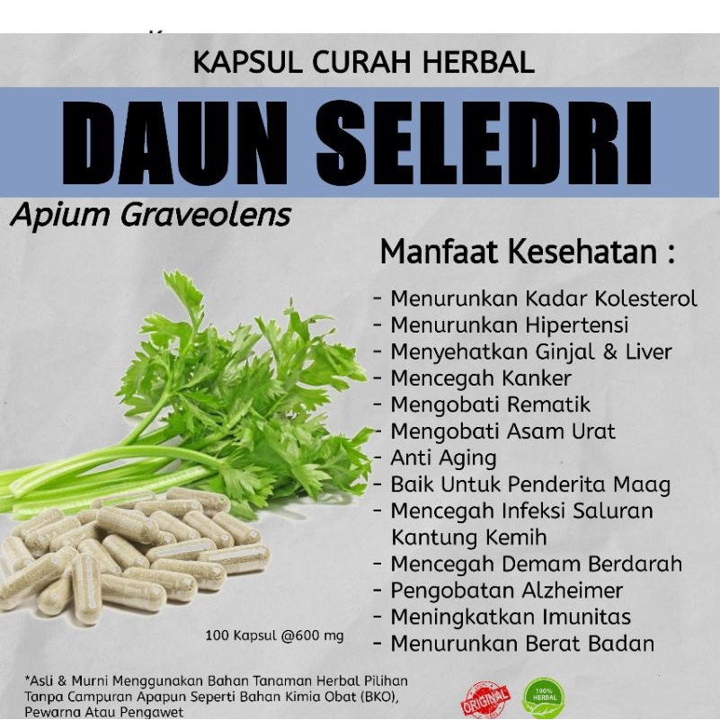 

KAPSUL DAUN SELEDRI 100 | Herbal Darah Tinggi | Herbal Kolesterol Dan Asam Urat