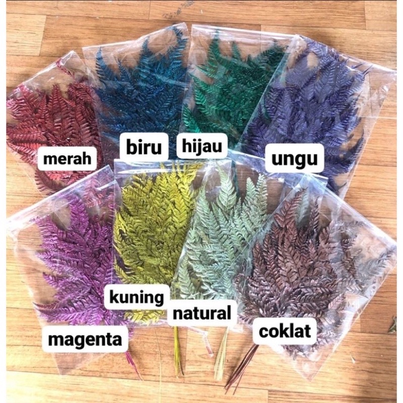 Daun Pakis Kering/ Hiasan Hand Bucket / Pakis Kering / Pakis / Bucket