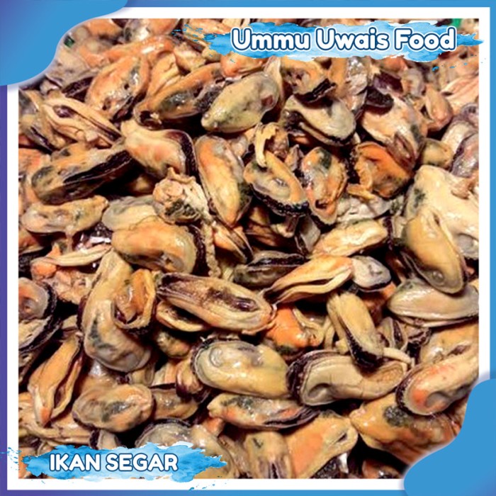 

Kerang Kupas Segar Fresh - 500 Gram