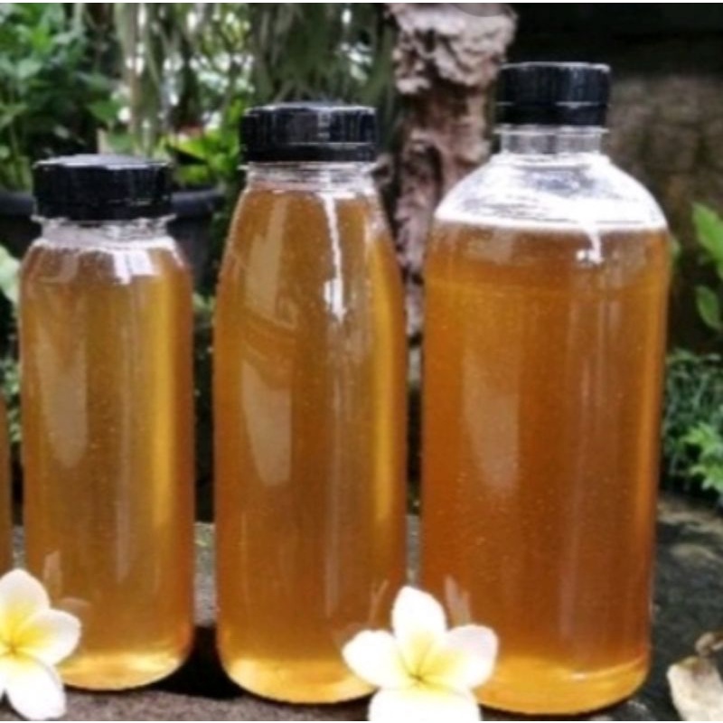 

MADU KLANCENG 100% ORIGINAl, MUDU ASLI DIJAMIN TANPA TAMBAHAN, MADU KLANCENG TRIGONAL, MADU KLANCENG MURAH BANGET, MADU MURNI