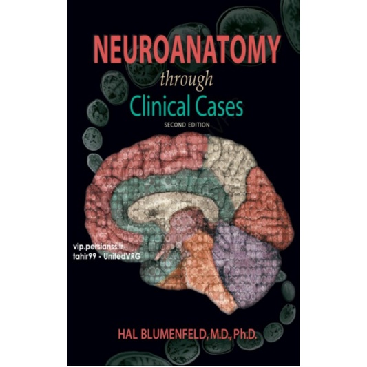Neuroanatomy Through Clinical Cases