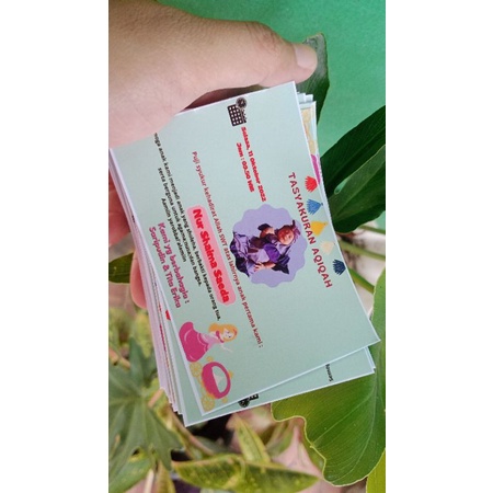 

orderan lia